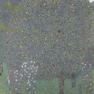 Gustav Klimt Rose Bushes Under the Trees (mk20)